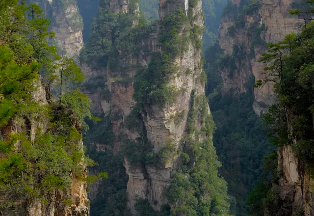 Forested sandstone pillars in Zhangjiajie National Forest Park, Hunan