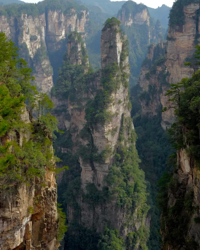 Forested sandstone pillars in Zhangjiajie National Forest Park, Hunan