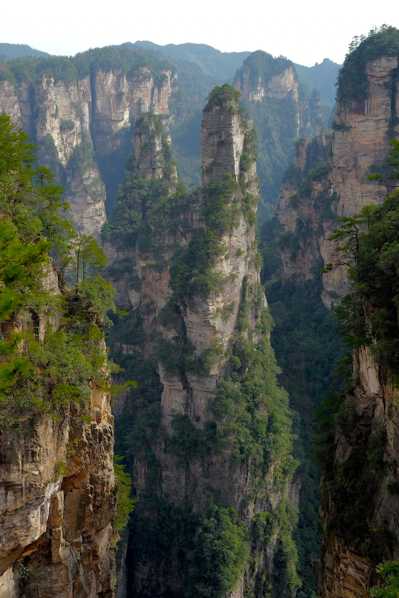 Forested sandstone pillars in Zhangjiajie National Forest Park, Hunan
