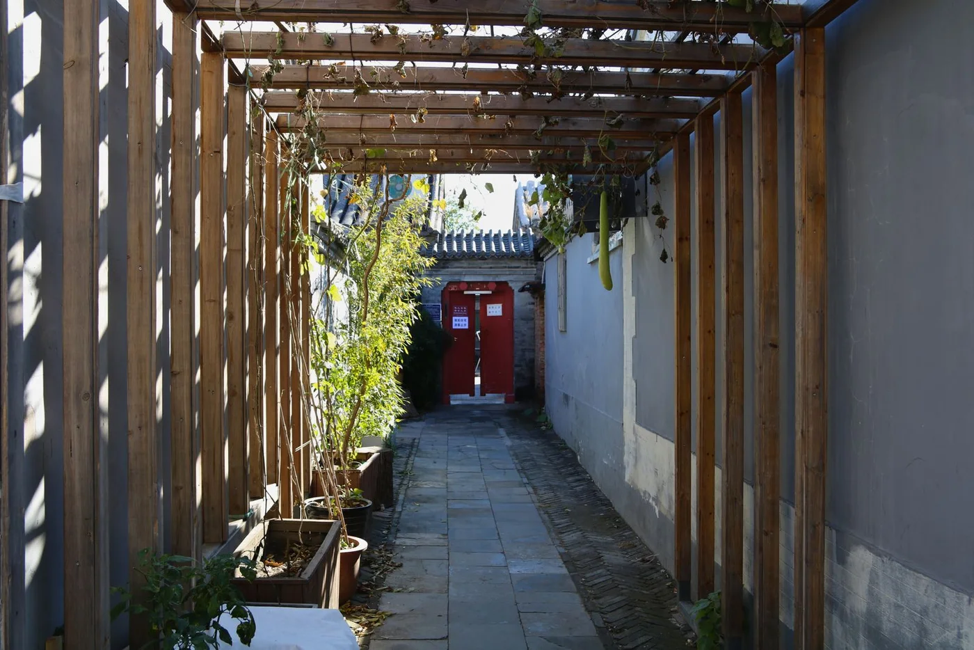 صورة حقيقية لمدينة بكين: Beijing hutong