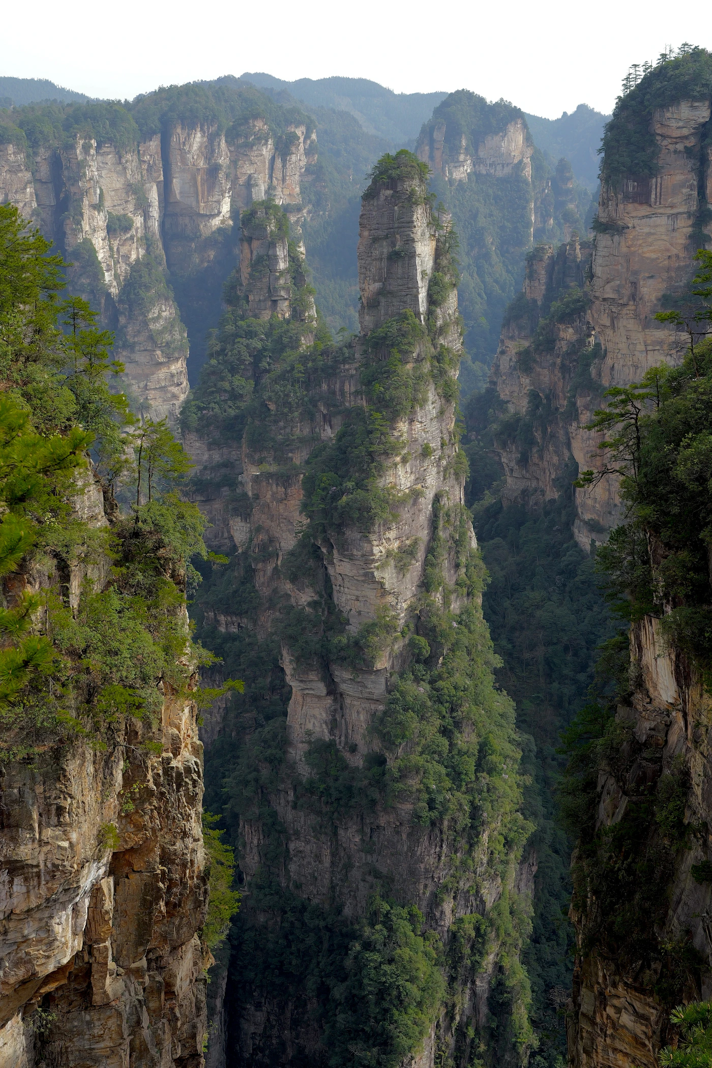 Forested sandstone pillars in Zhangjiajie National Forest Park, Hunan